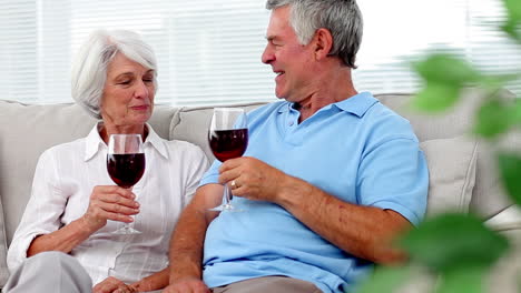 mature couple enjoying red wine and smiling at camera