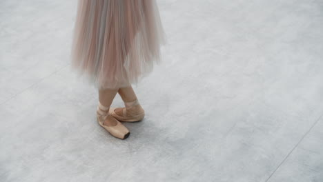 ballerina in pointe shoes