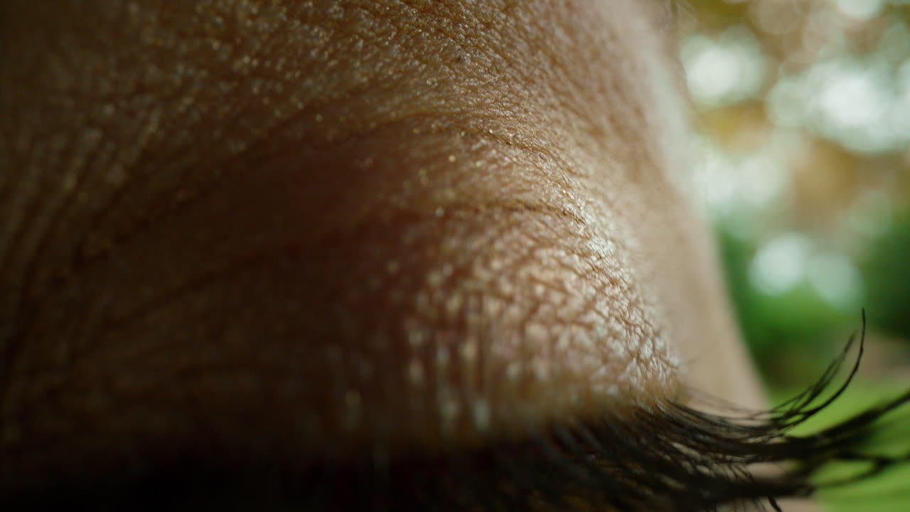 abrir los ojos de cerca mirando a la naturaleza al aire libre viendo la belleza natural macro iris vista sana