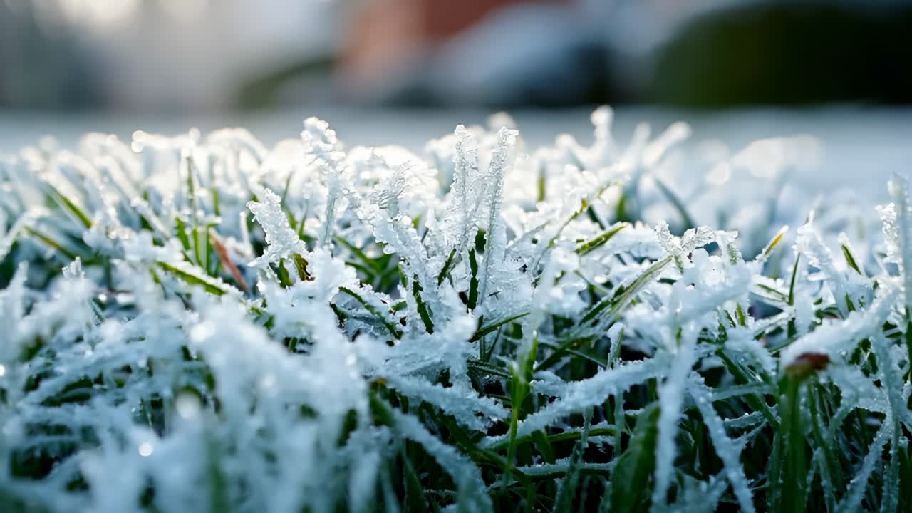 A field of grass covered in snow. The snow is covering the grass and the ground