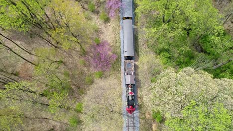 una vista aérea en ángulo descendente de un tren de pasajeros de vapor de 1860 que viaja a través de una zona boscosa en una sola vía férrea solitaria