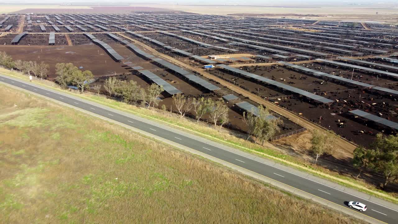 USA, CA, Coalinga, Harris Cattle Farm, 2024-12-28 - Drone view of the Harris Ranch Cattle Farm Feedlot