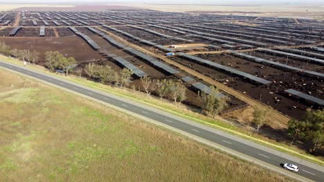 usa, ca, coalinga, harris cattle farm, 2024-12-28 - drone view of the harris ranch cattle farm feedlot