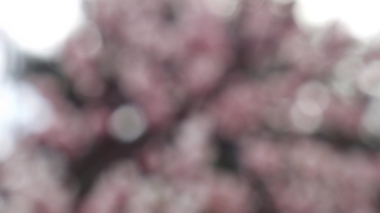 fondo de resorte abstracto con bokeh