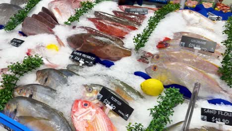 variety of fish on ice at seafood market