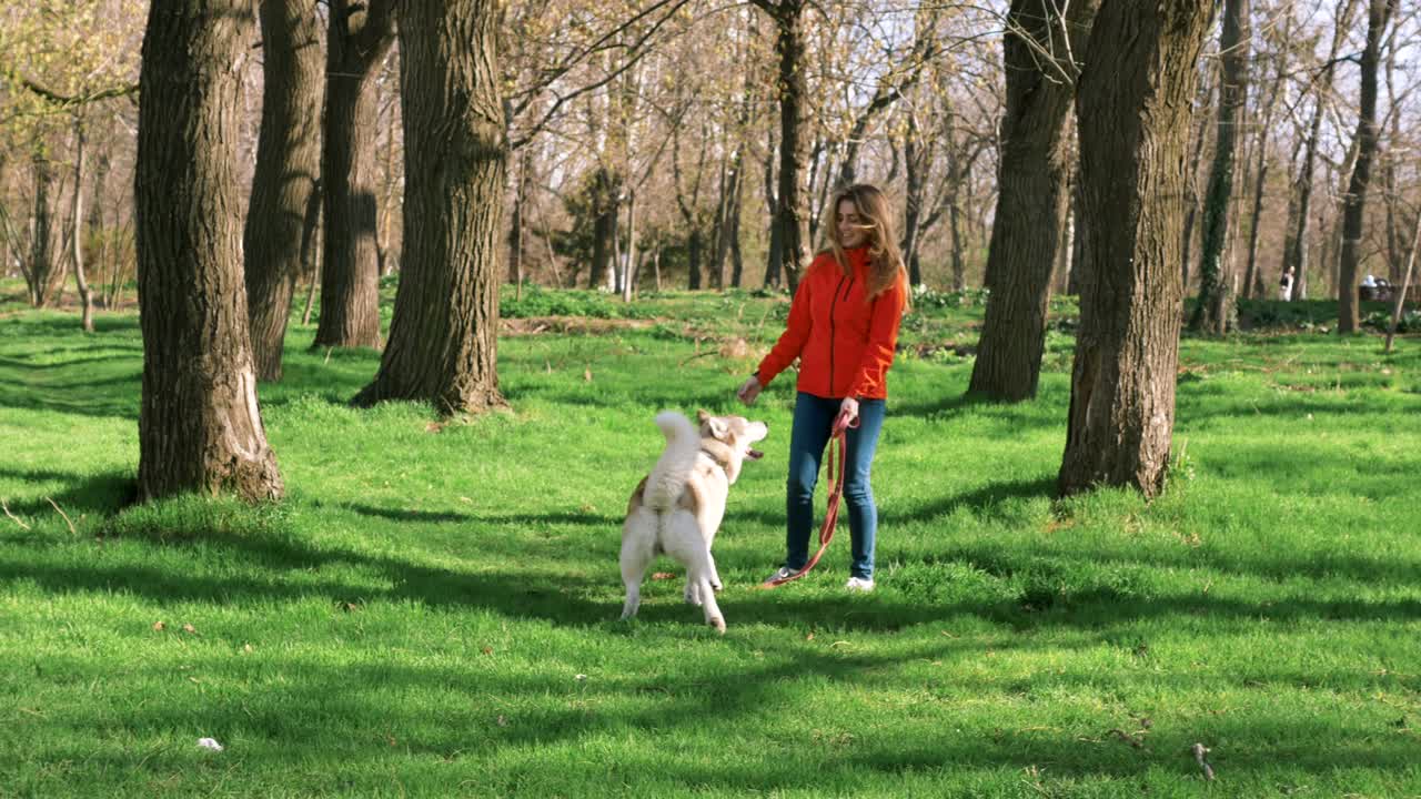 niña jugando y corriendo con husky siberiano en el parque, cámara lenta