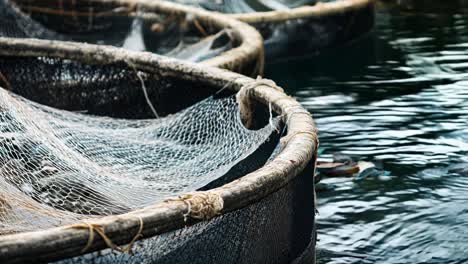 close up of fish traps in water