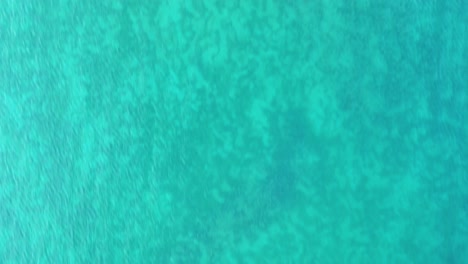 drone volador mirando desde arriba sobre aguas turquesas cristalinas en el lago konstanz en alemania