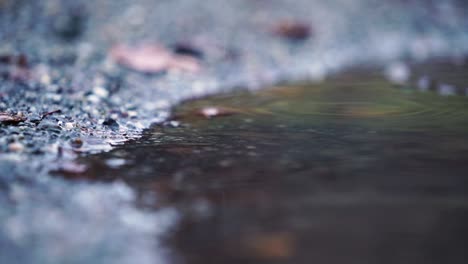 雨中輕微的雨, 慢速的雨