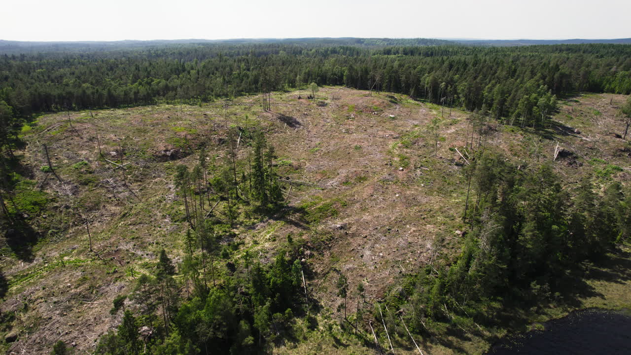 Aerial View Revealing a Hillside Deforested from Woodcutters in a Forest Park Landscape