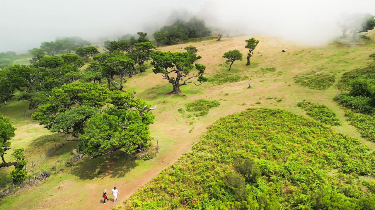 Twee mensen die overdag langs een pad naar de mist in het Fanal-bos lopen