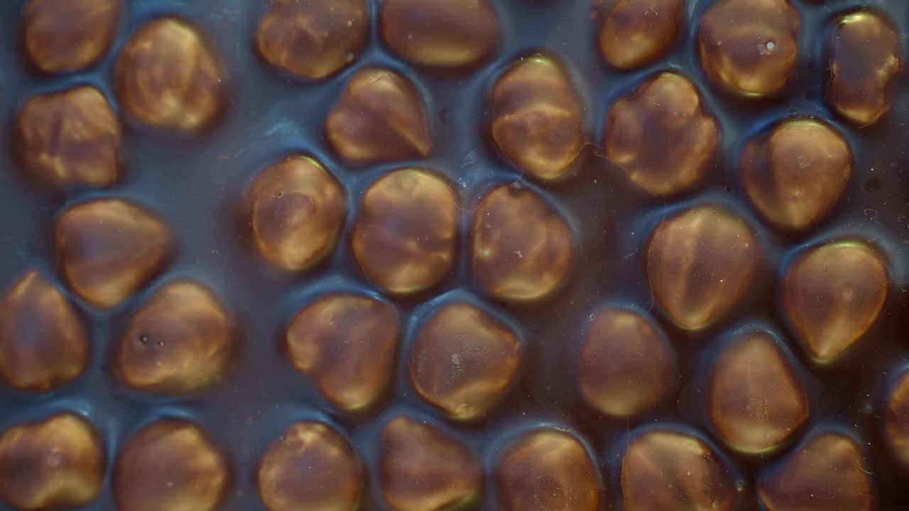 cerca de una barra de chocolate con avellanas