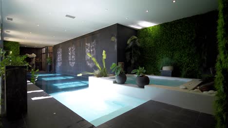 interior view of indoor swimming pool with nature decorations, plants, sunlight shining through the windows