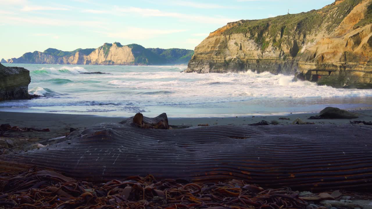 Washed Up Carcass Of Whale On Beach With Ocean Waves Crashing In Background On Island Of Chiloe In Chile