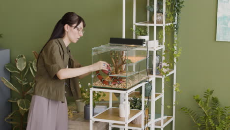 애완용 뱀을 안고 집에 있는 테라리움에 넣는 젊은 여성