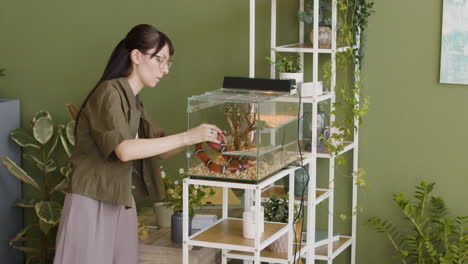 young woman holding her pet snake and putting it in a terrarium at home