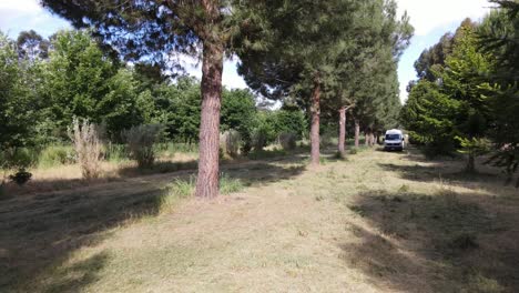 drone aerial forward under tree canopy with sun rays amongst nature to reveal campervan