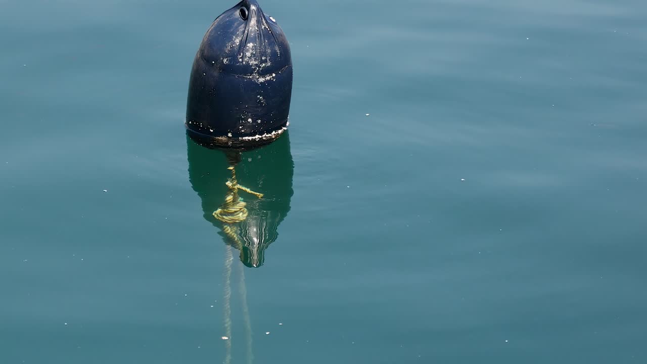 A dark buoy floats steadily, casting a clear reflection on the calm, blue water surface.