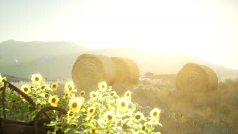 Balas-De-Heno-En-La-Puesta-Del-Sol