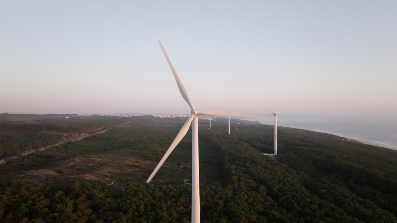 parque eólico costero al amanecer