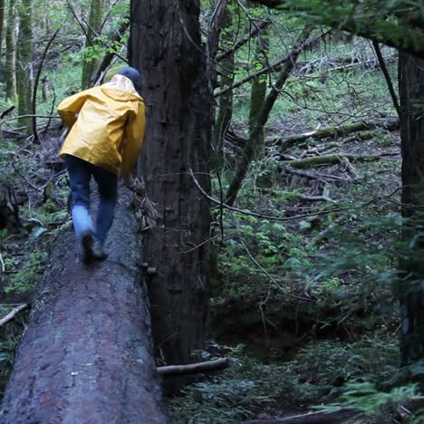 Un-Hombre-Corre-A-Lo-Largo-De-Un-Tronco-En-El-Bosque-Salta-Y-Se-Da-Vuelta