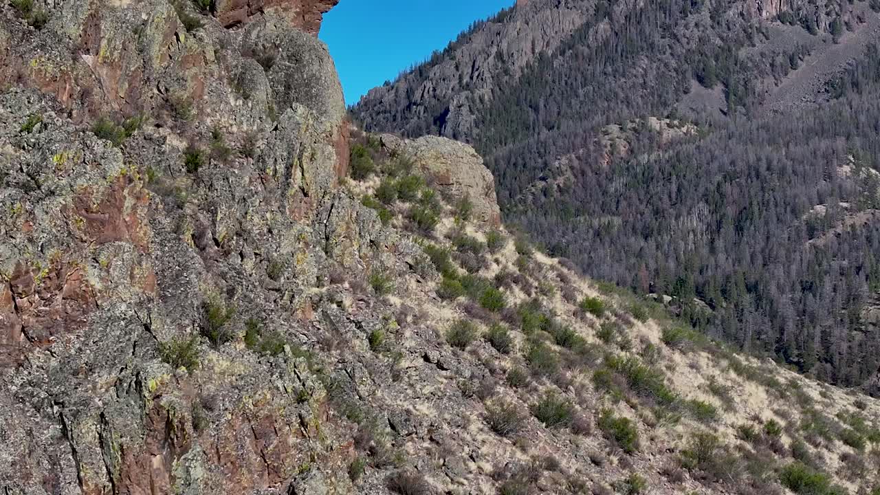A beautiful and cinematic, 70mm zoomed-in aerial shot of a bighorn sheep, trekking up the side of a steep incline in the Rock Mountains, near the infamous town of Creede, Colorado.