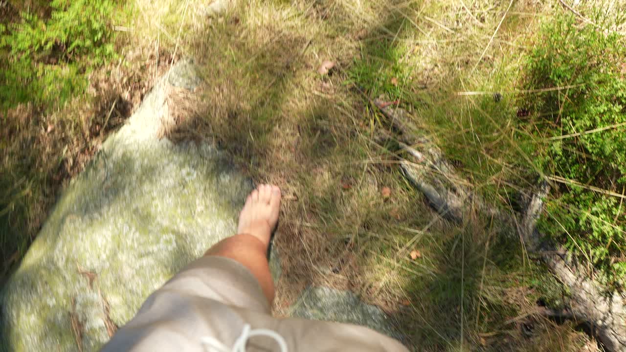 A person steps barefoot onto a vibrant mossy stone covered with lush green patterns. Sunlight filters through the trees, creating a peaceful and tranquil atmosphere
