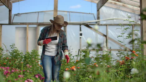 Un-Florista-Con-Una-Tableta-Camina-En-Un-Invernadero-Y-Audita-Y-Revisa-Las-Flores-Para-La-Contabilidad-De-Pequeñas-Empresas,-Toca-Y-Observa-Las-Plantas