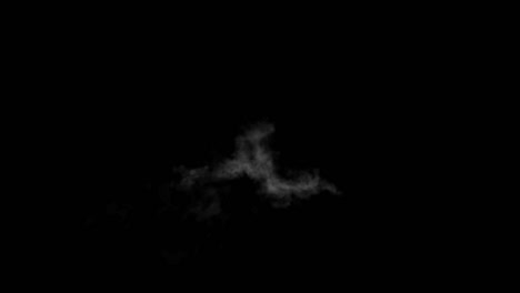 real smoke effect 20