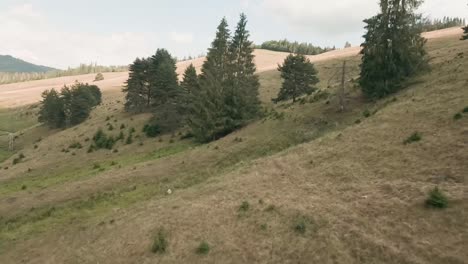 aerial cinematic footage from fpv racing drone of a meadow during a partly cloudy summer day