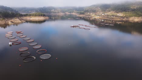 fish farm with lots of fish enclosures on cages