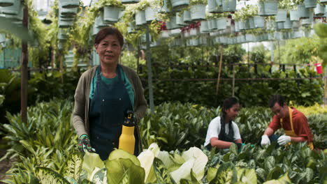 jardineros que trabajan en interiores