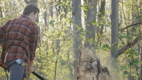 powerful sideways axe swing at a tree stump