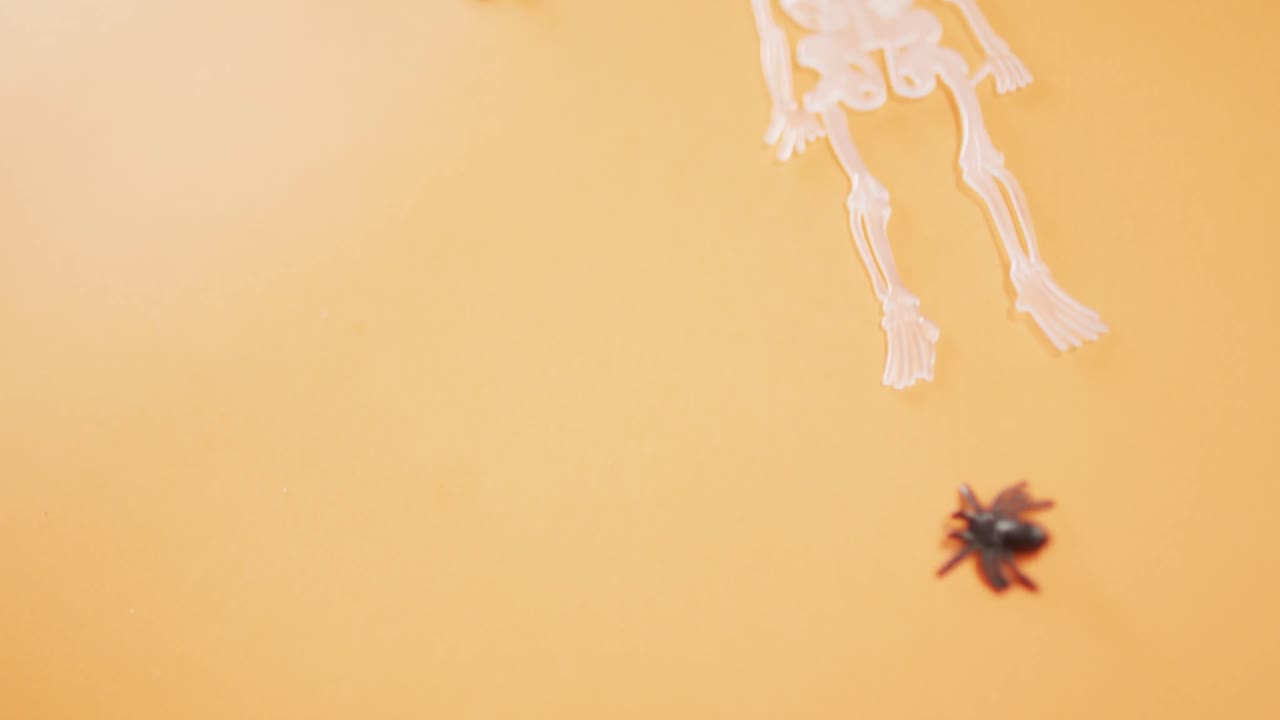 오렌지색 배경 에 따라 복사 공간 을 가진 여러 개의 골격 과 거미 장난감