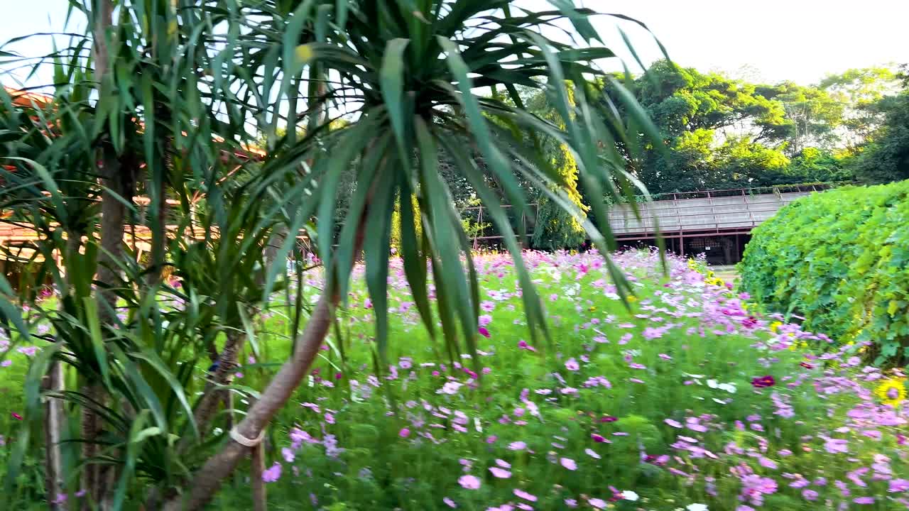 울창한 초록색과 꽃이 피는 조용한 정원 풍경