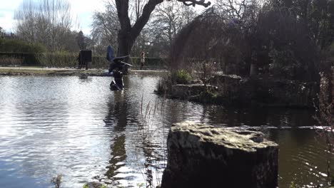 Gans-Sitzt-Auf-Baumstumpf-Regents-Park-London-Sonnigen-Wintertag