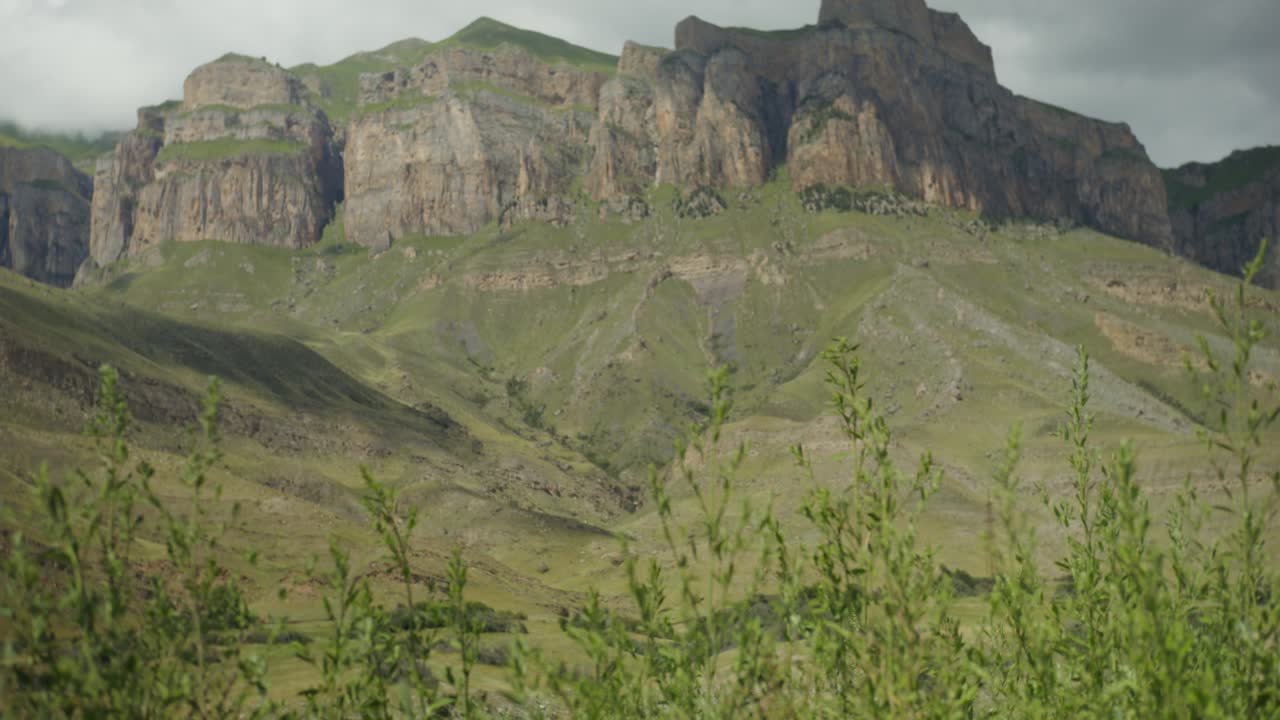 paisaje montañoso con vegetación herbácea