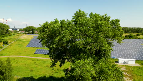 Sonnenkollektoren-Auf-Einer-Wiese-In-Der-Nähe-Von-Danzig,-Pommern,-Polen---Drohne-Aufsteigend