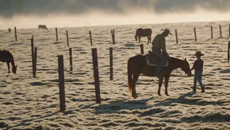 cowboys and cowgirls in a misty morning pasture