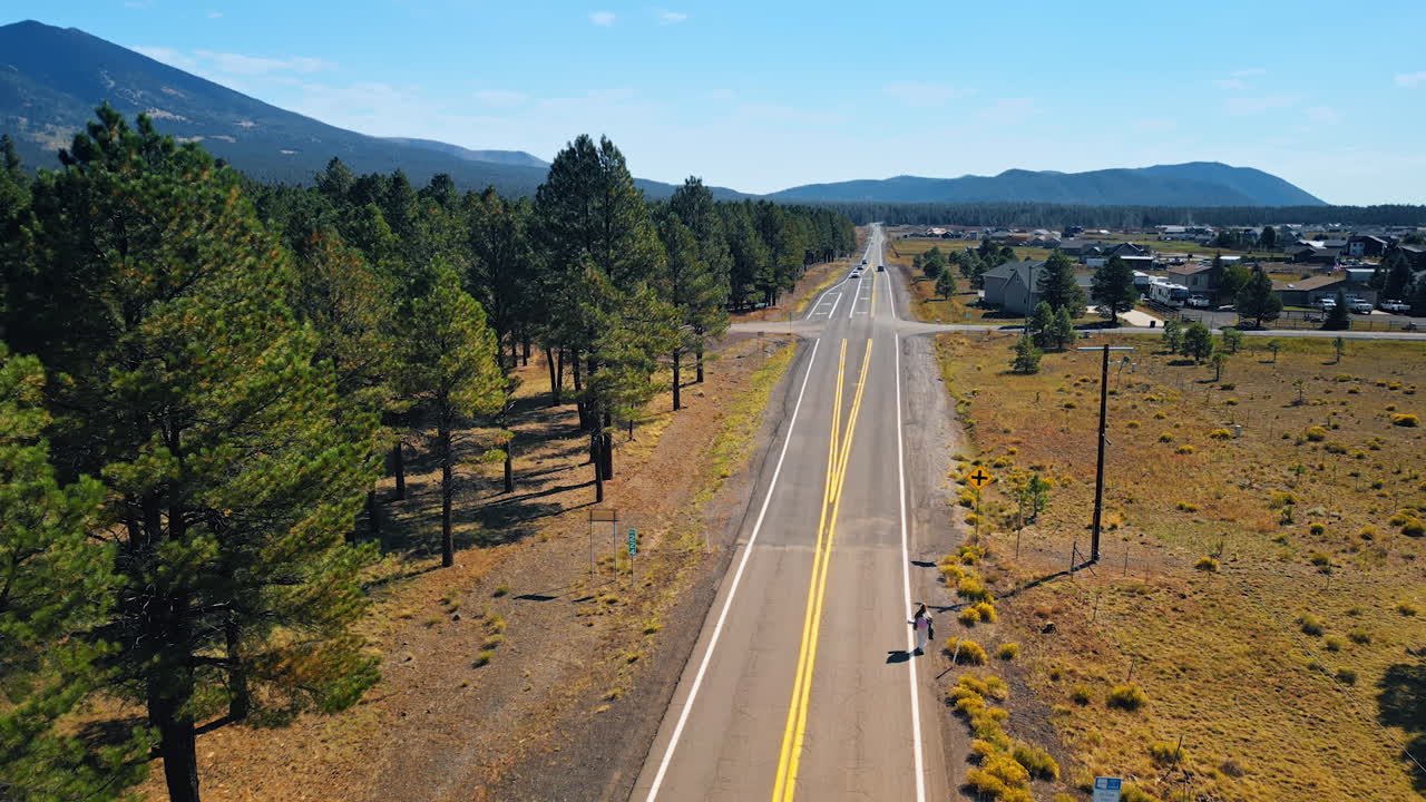 Two-lane highway along the pine tree wood and town. Woman walks by the roadside with a backpack. Aerial view