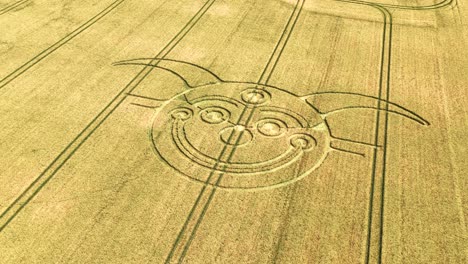 aerial view approaching smiling clown face crop circle on golden stonehenge wheat farmland harvest