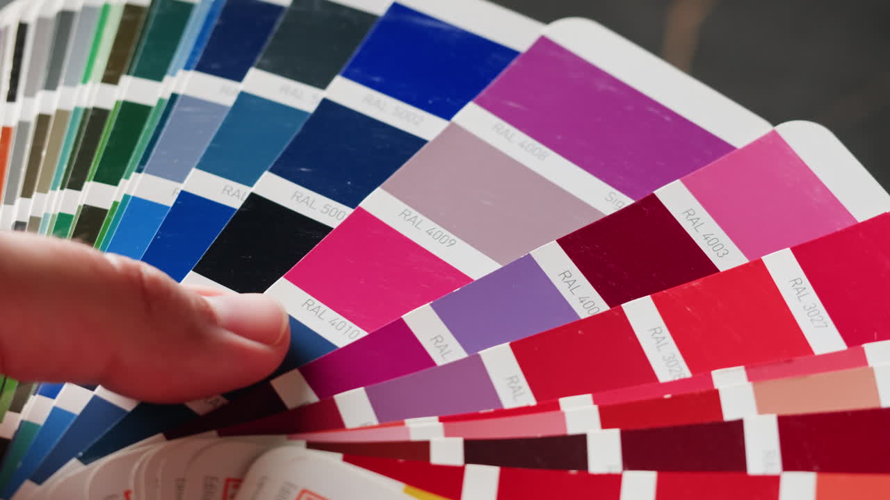 muestras y paleta de colores