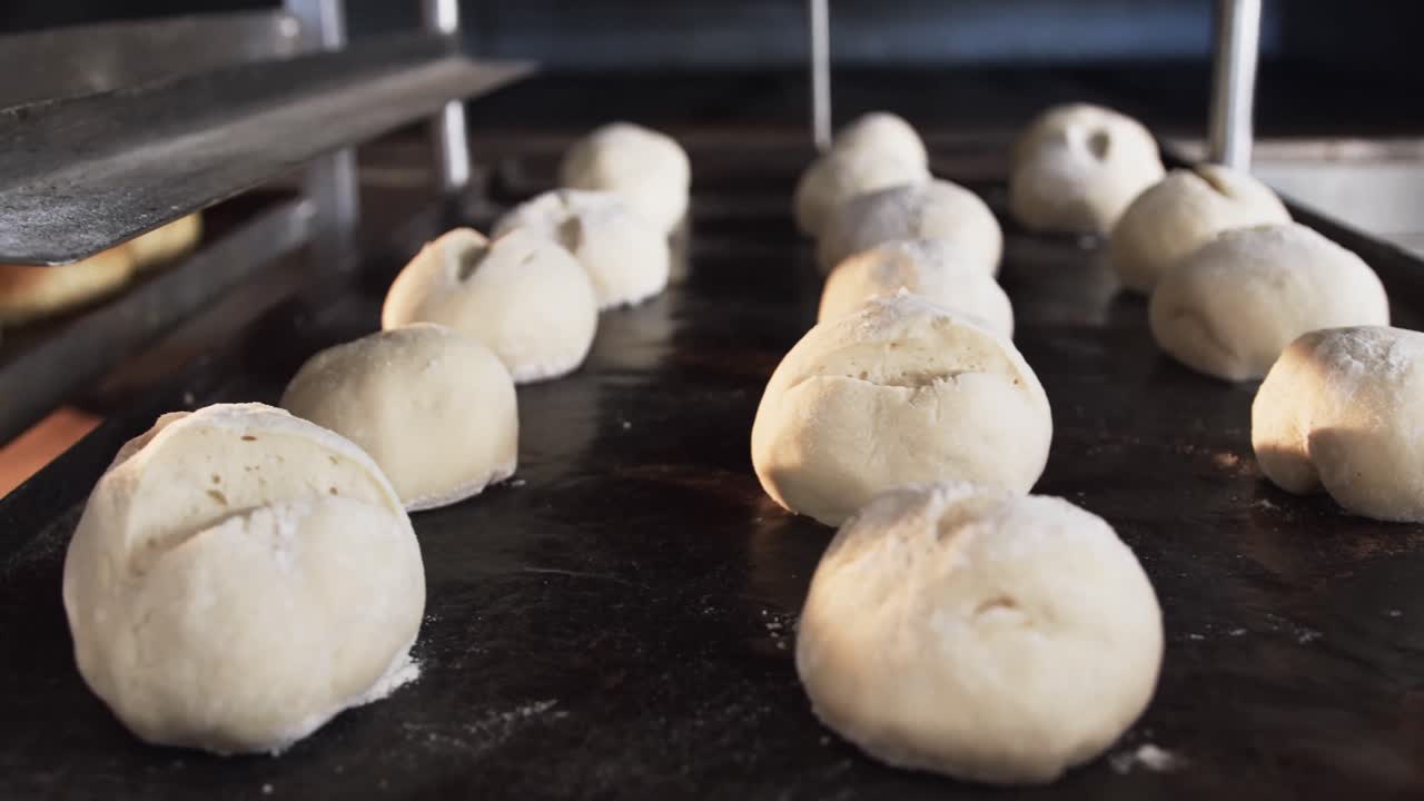 느린 움직임에서 베이커리 시트에 씨 ⁇ 과 함께 줄에 신선한 롤의 클로즈업