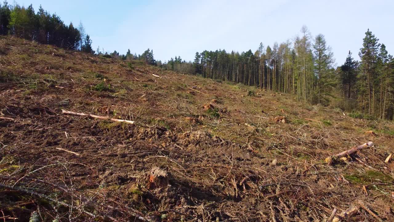 Slow Tracking Shot Over Deforestation showing the raw impact of logging and environmental destruction. Themes of Climate change, industrial impact, environmental conservation