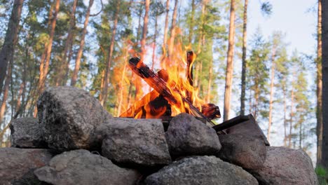 Brennendes-Lagerfeuer-Im-Wald