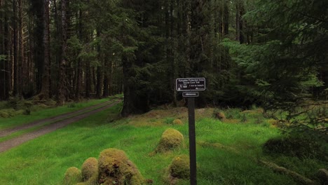 segnale di baia segreta nella foresta che guarda una strada di terra dritta, colpo di tracciamento laterale