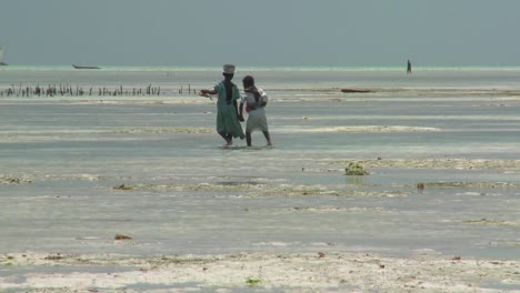 Una-Niña-Lleva-A-Su-Hermana-A-Una-Bahía-De-Mareas