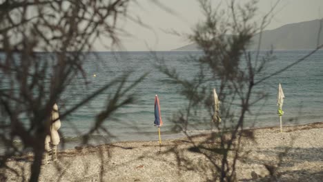 Arbustos-Delgados-Y-Tenues-Soplan-Con-El-Viento-Mientras-Las-Olas-Rompen-Suavemente-En-La-Costa-Mediterránea-Con-Sombrillas-Cerradas