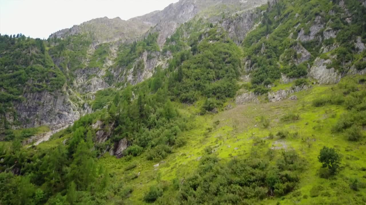 vista de un avión no tripulado de una montaña empinada con árboles