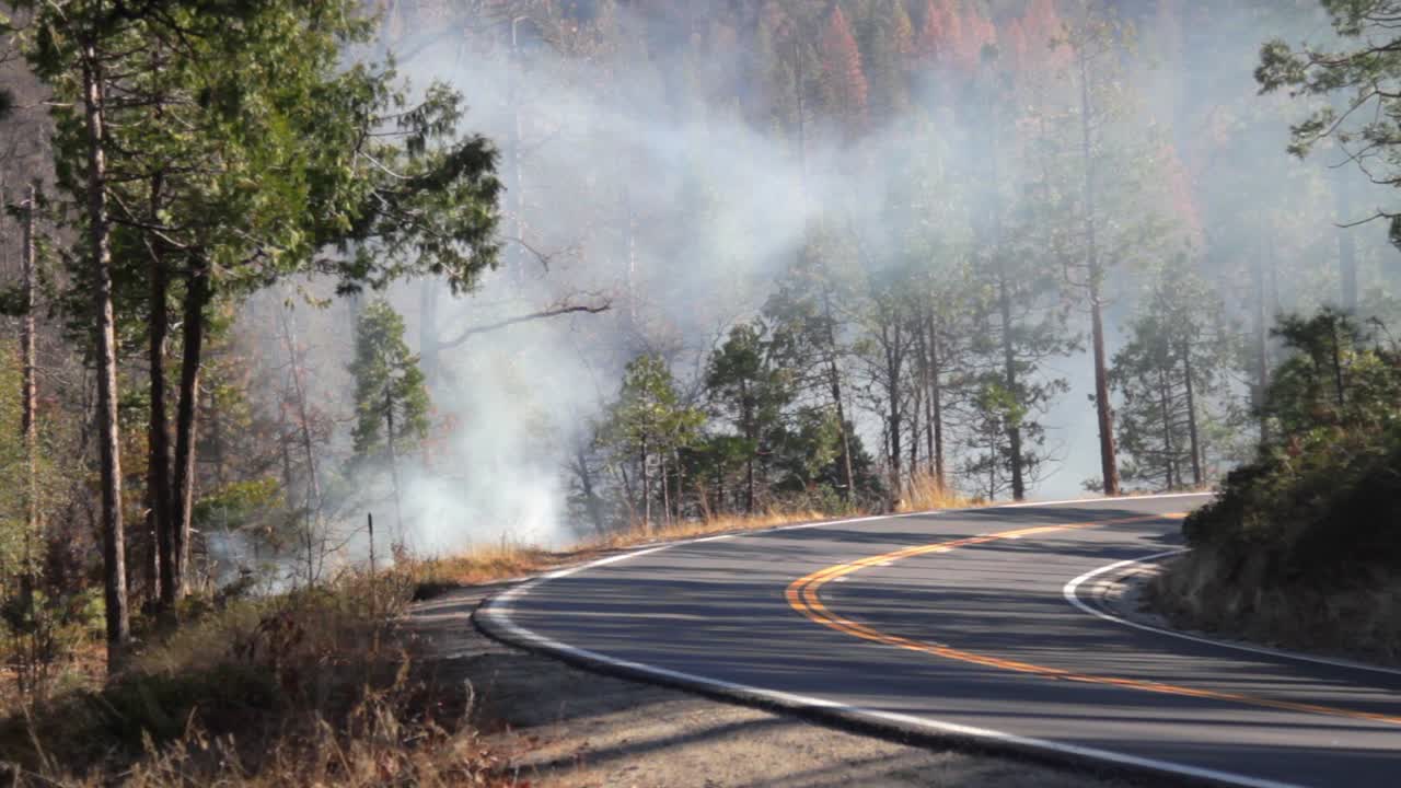 incendio forestal a lo largo de una carretera en california